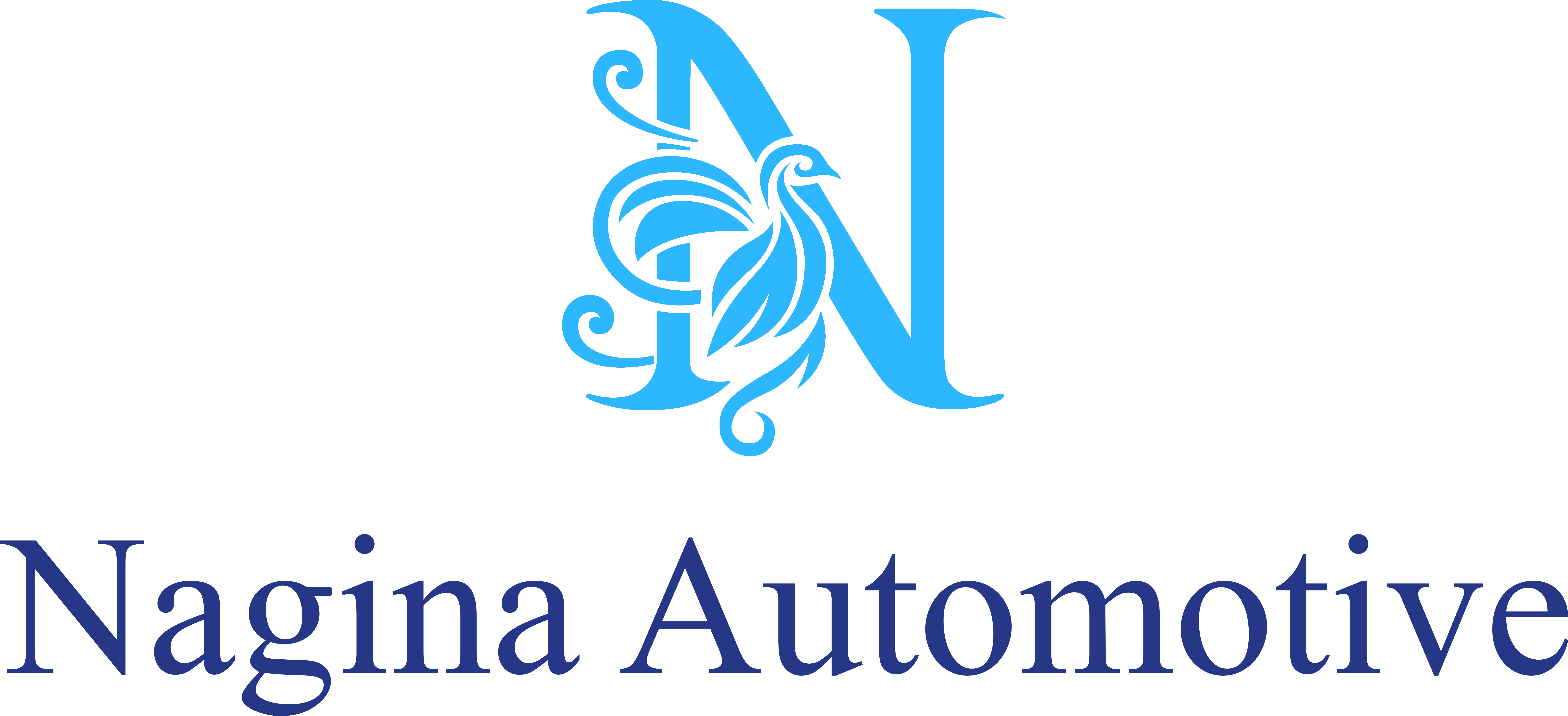 Nagina Automotive